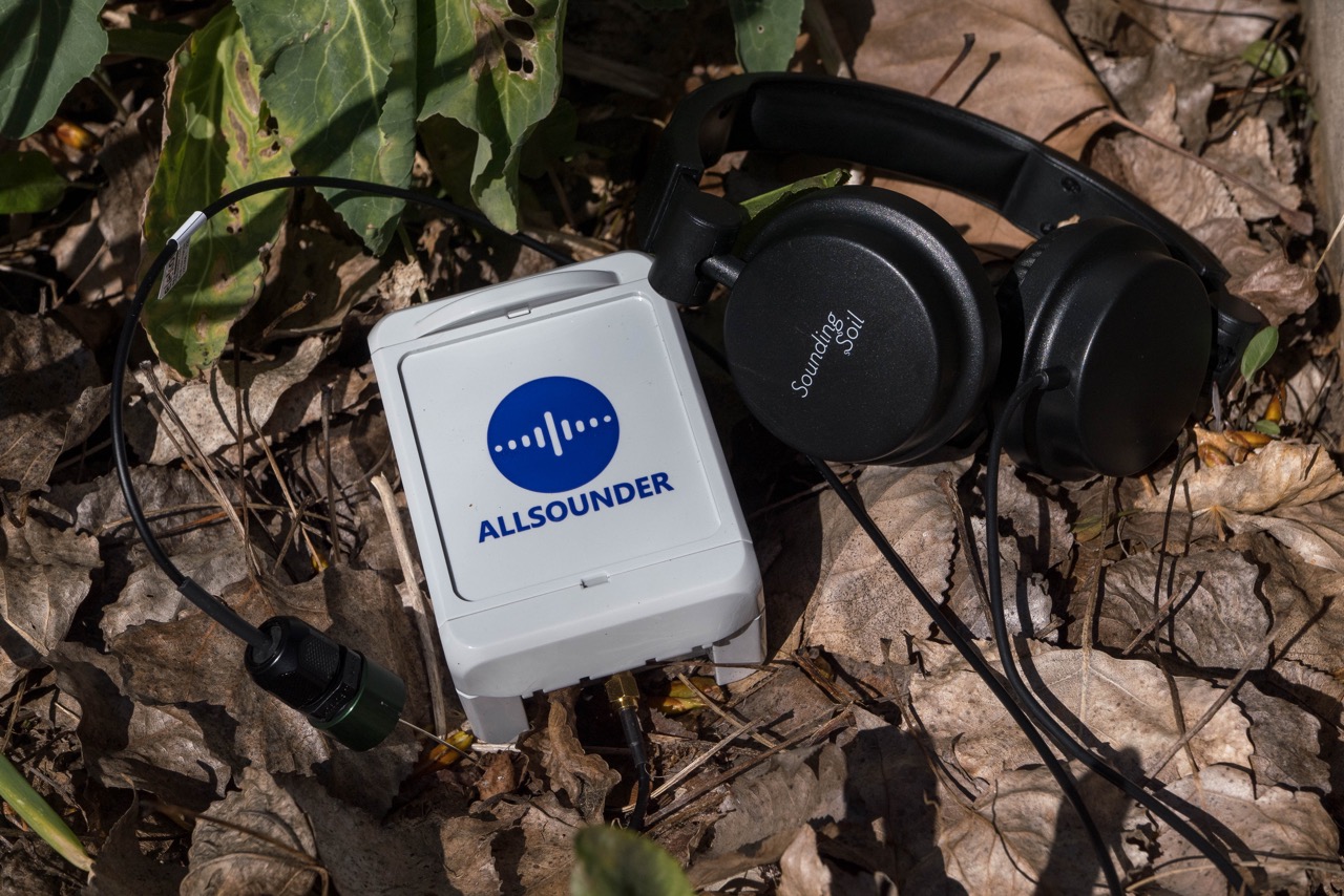 Bodenmikrofon mit eingesteckter Sonde © Biovision