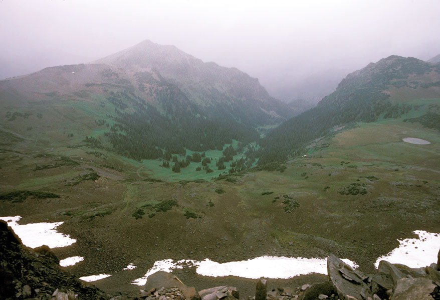 Mount Reinier National Park
