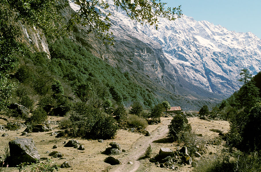upper Langtang valley