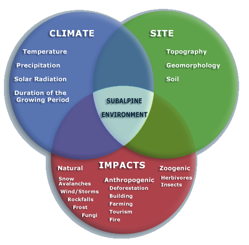 factors influencing the sub-alpine environment chart