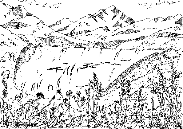Hinterrhein glacier during the Late-Würmian