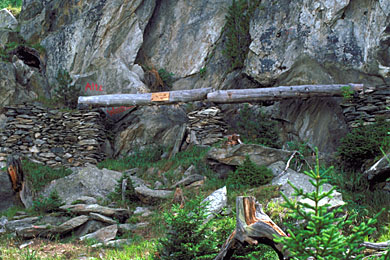 Stone walls with a wooden channelfrom the "Oberriederi"