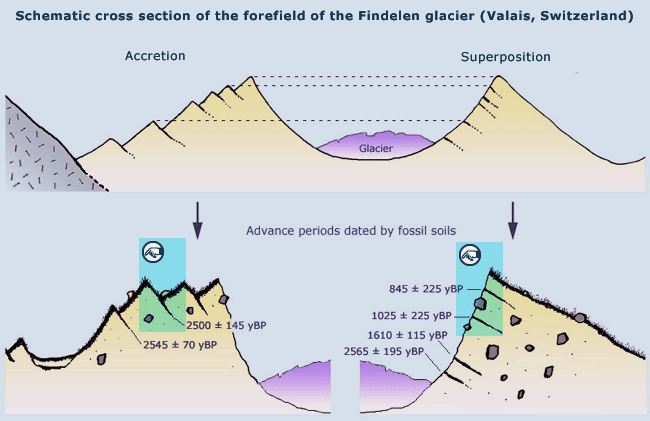 Schematic cross section through the forefield of the Findelen glacier