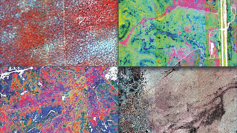 Plant species diversity in four different ecosystems represented as spectral variation