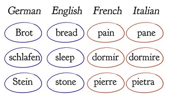 similarities between languages