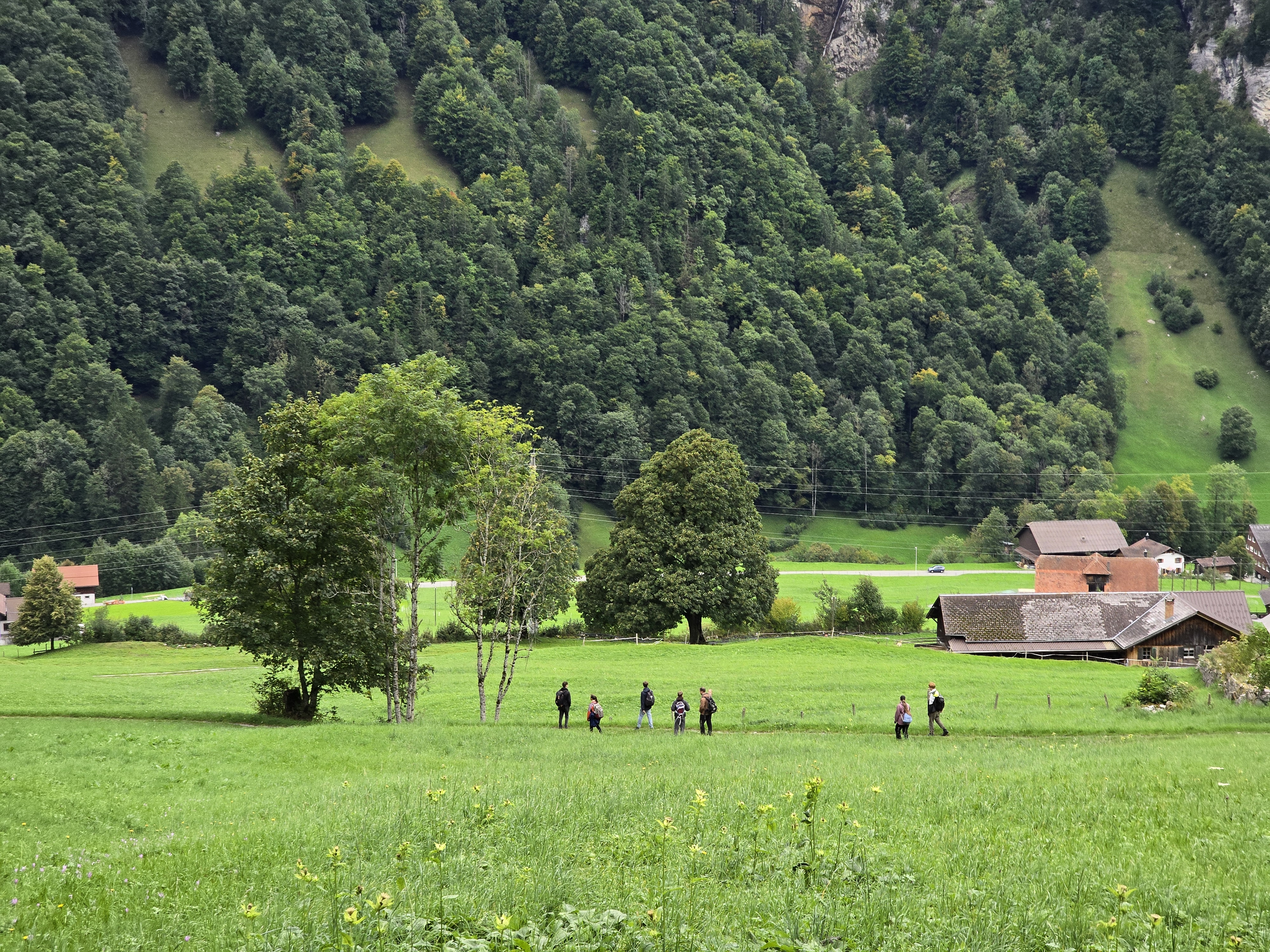 Afternoon hike in and around the impressive forests of Melchtal OW. Image by Lennart Lux. 