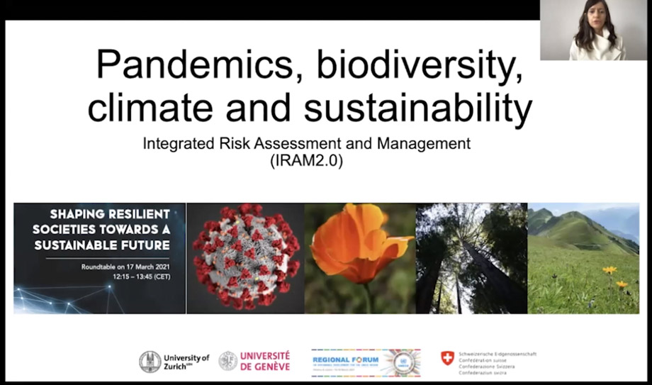 Pandemics, biodiversity and climate