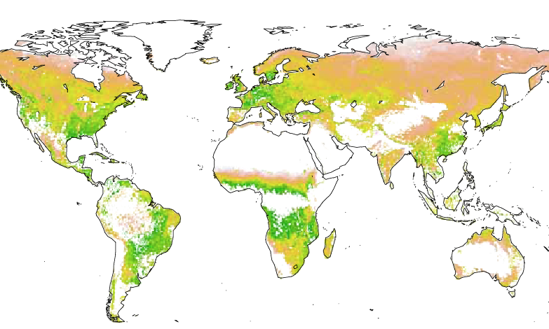 illustarion vegetation world
