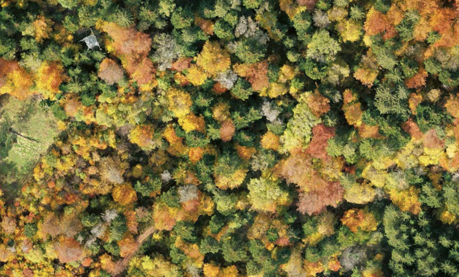 Biodiversität von oben: Blick auf den bewaldeten Höhenzug der Lägern in der Nähe der Stadt Zürich.