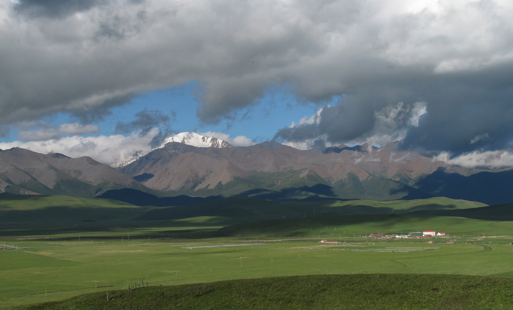 tibet grassland