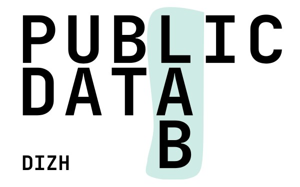 DIZH Public Data Lab Interview