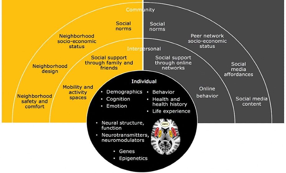 Detecting Suicide Ideation in the Era of Social Media: The Population Neuroscience Perspective​​​​​​​