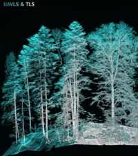 Forest structure seen through the eyes of UAV and TLS data
