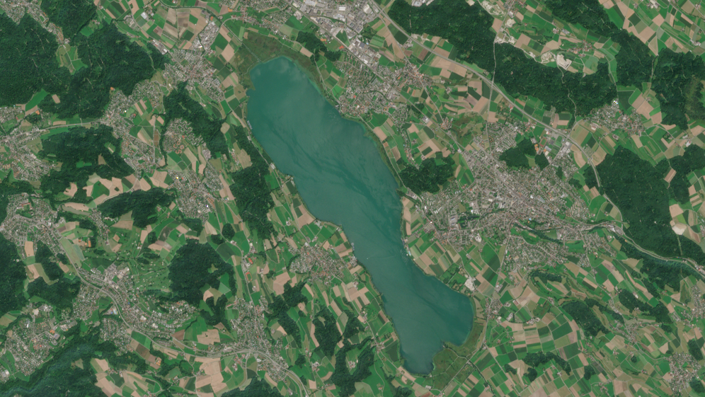 Satellite image of Greifensee showing an algal bloom. Sentinel-2 image from August 11, 2025.  