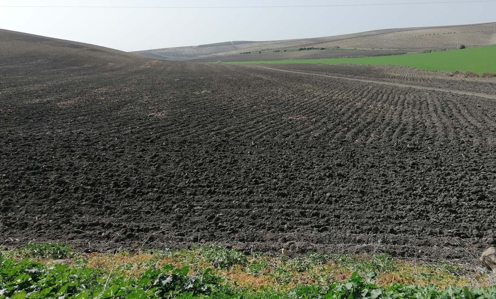 Landwirschaftlich genutzte Böden in Südeuropa
