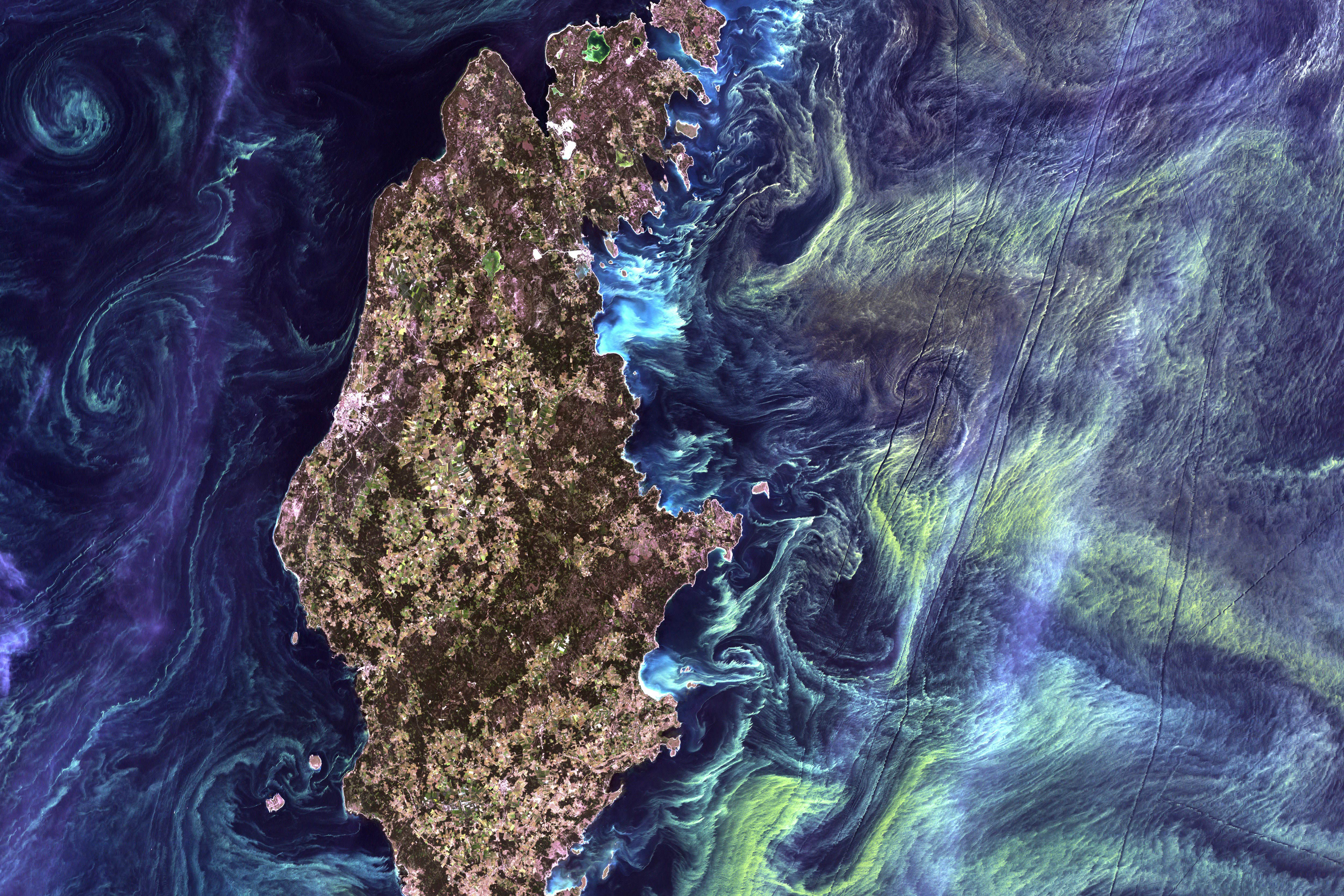 Satellite image showing a phytoplankton bloom in the ocean