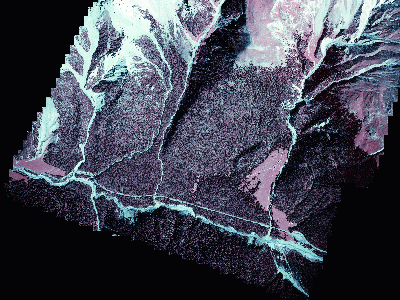 test site
