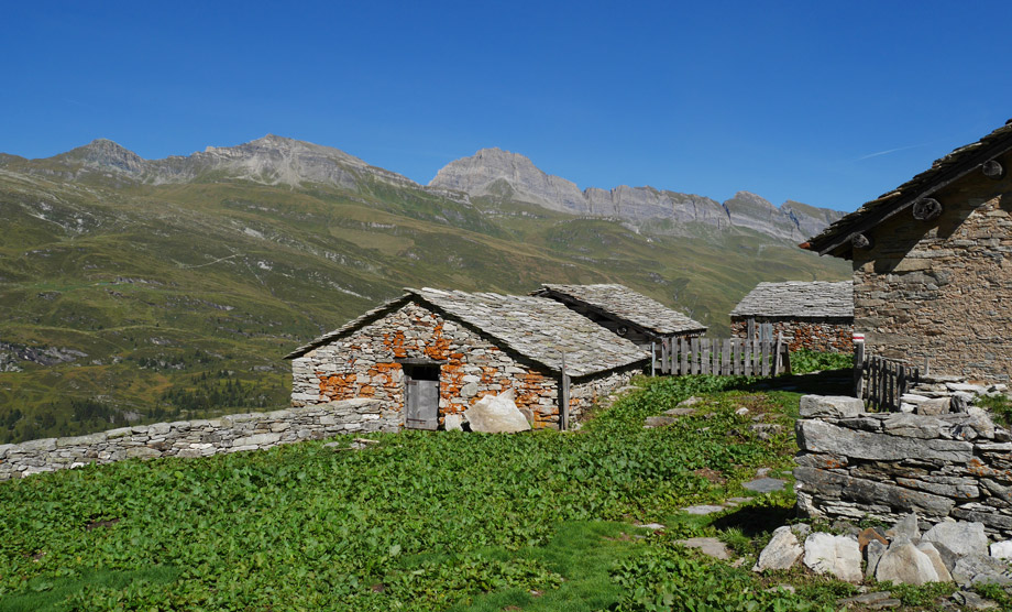 Alp Ampervreila