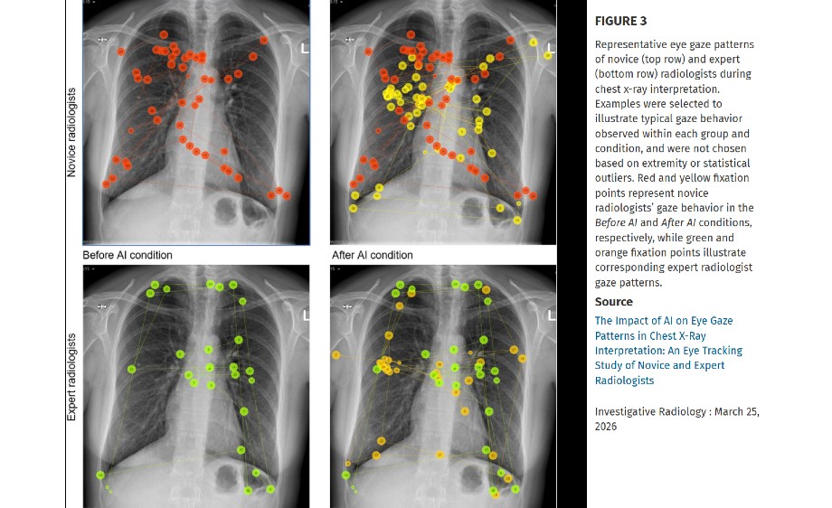  The diverse impact of Professor Buttenfield’s work, as reflected in a scientometric analysis of papers citing her research.