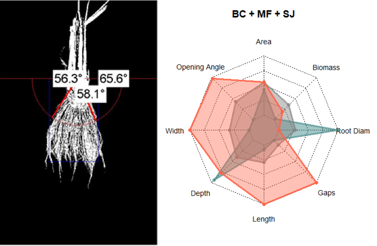 Fig3