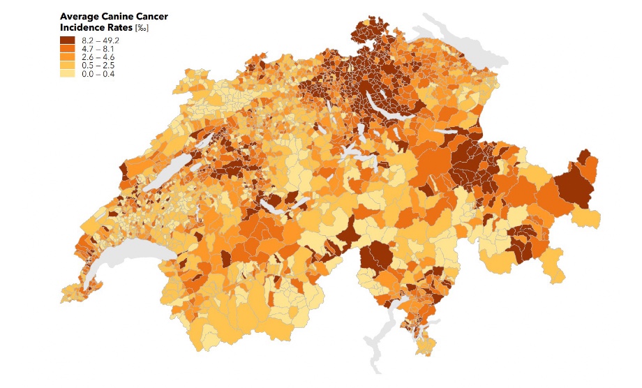 Space-­Time Analysis of Tumor Incidence: Companion Animals as Public Health Sentinels