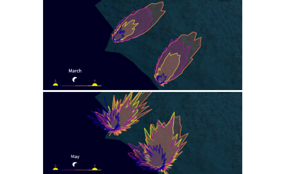 Avian spring migration at the east Adriatic coast