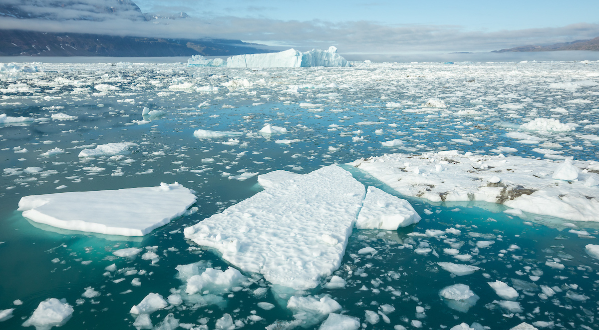 Eisschollen im Meer vor Grönland (Bild: Ethan Welty)