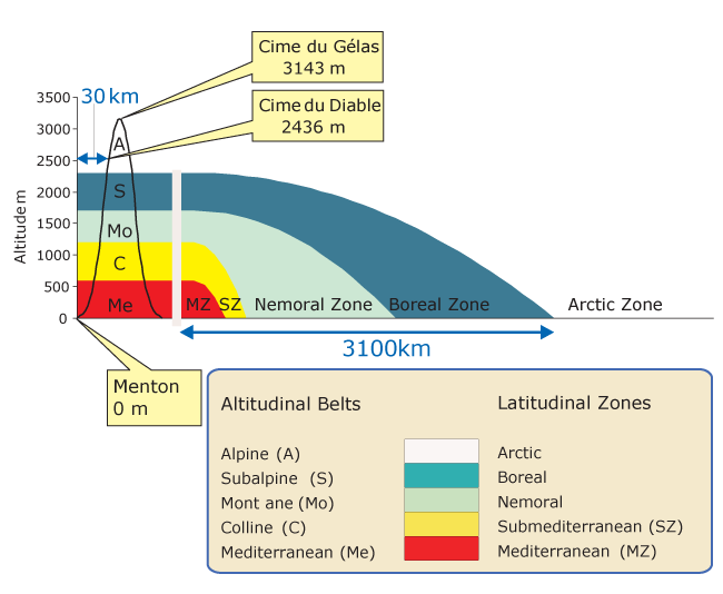Overview of latitudinal zones and altitudinal belts
